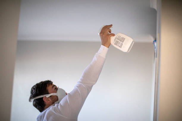 Trusted Dumbarton, VA Mold Removal Experts