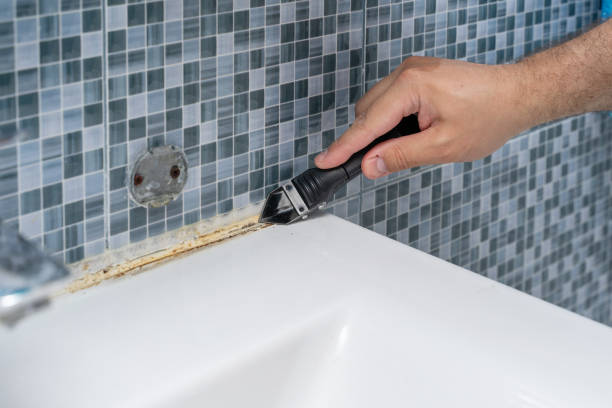 Best Mold Testing  in Dumbarton, VA