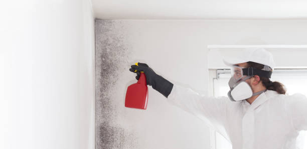 Certified Mold Removal in Dumbarton, VA