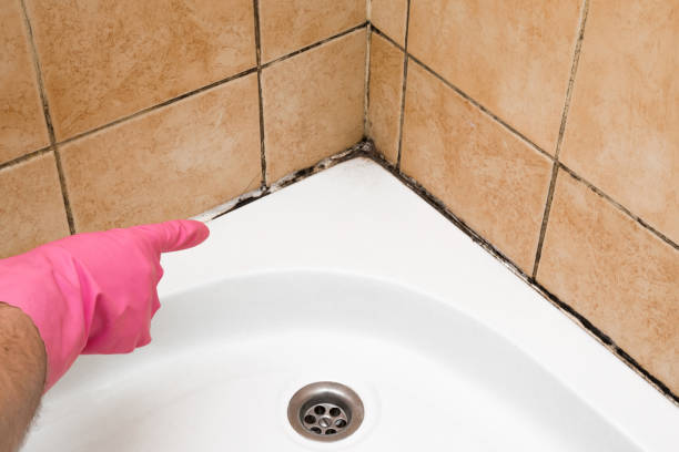 Best Toxic Mold Removal  in Dumbarton, VA